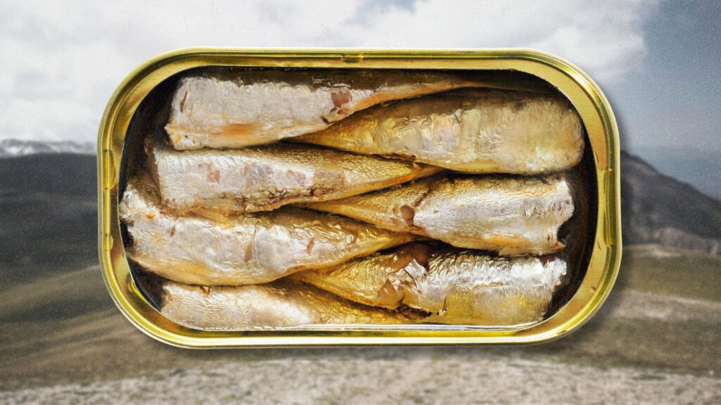 Why Tinned Fish Is Trending