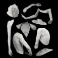 A Beauty Ideal of Extreme Thinness Is the Opposite of “Longevity”