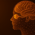 The eye-brain axis: nourishing cognition across life stages