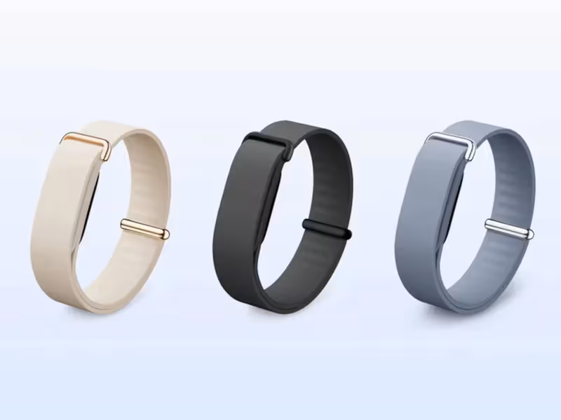 Screenless Fitness Trackers : the fitbit air
