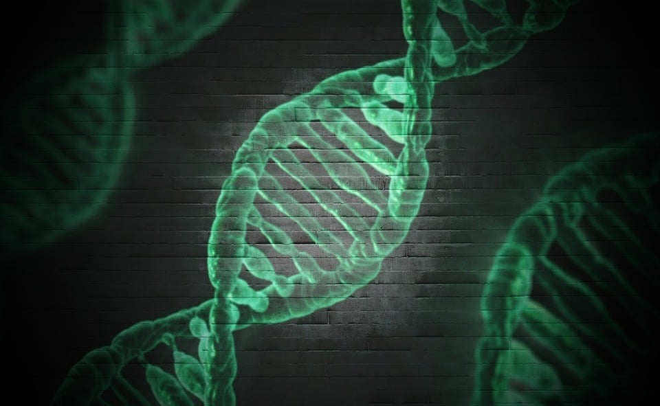 Genetic Mutations Help Stem Cells Evade Immunity in Anemia