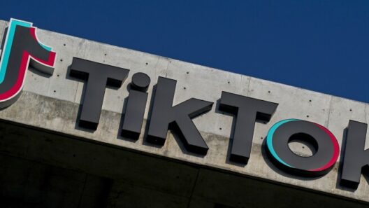TikTok Ruled Not Immune From Massachusetts’ Addiction Claims (1)