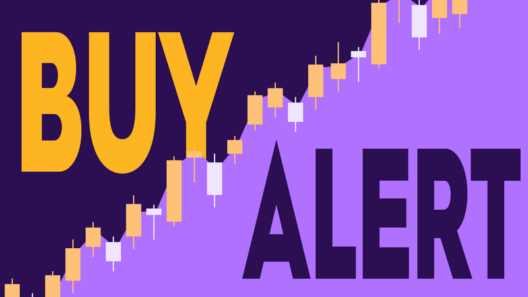 Torque Asset Management Buys $4 Million of Planet Fitness Amid Stock's 54% Decline in 2026