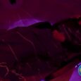 Harmonic Egg & Wellness restores nervous system using light and sound therapy