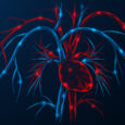 Can nicotinamide supplements lower blood pressure?