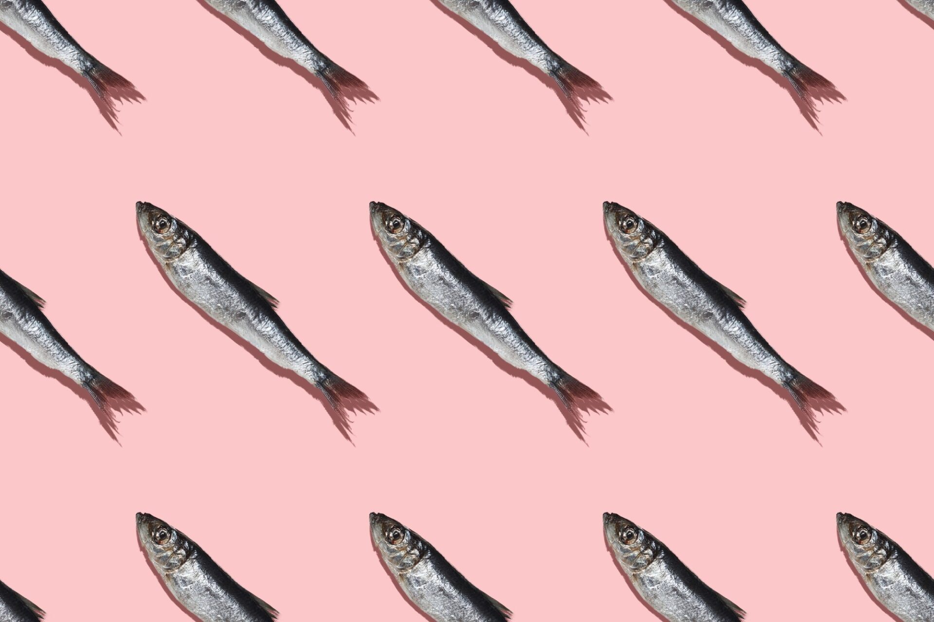 The right seafood choices can help diets meet health and climate goals