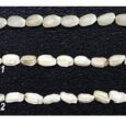 Magnesium transporter controls rice grain development and eating quality