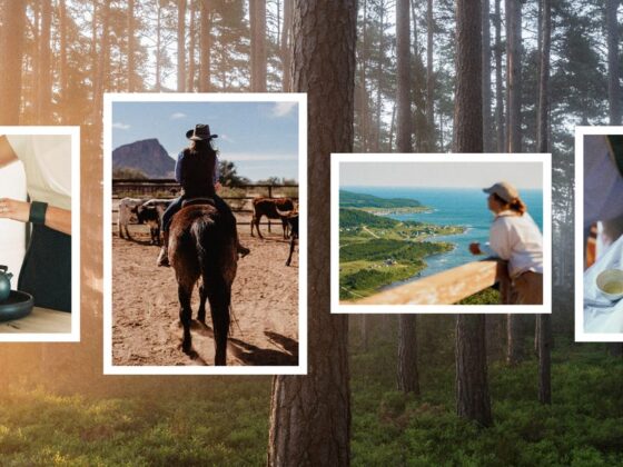 The Most Transformative New Wellness Retreats to Book in 2026