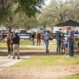 Ocala Breeders' Sales June Auction Adds 72 Supplements