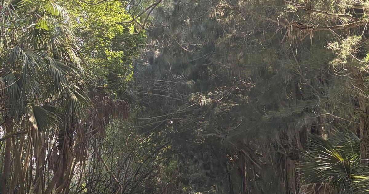 Historic Jungle Trail offers nature’s beauty for hikers, bikers