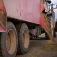 Total Mixed Rations ensures balanced nutrition for dairies