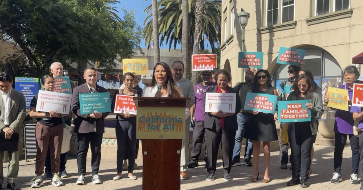 Immigrant rights activists call for investment in CA budget