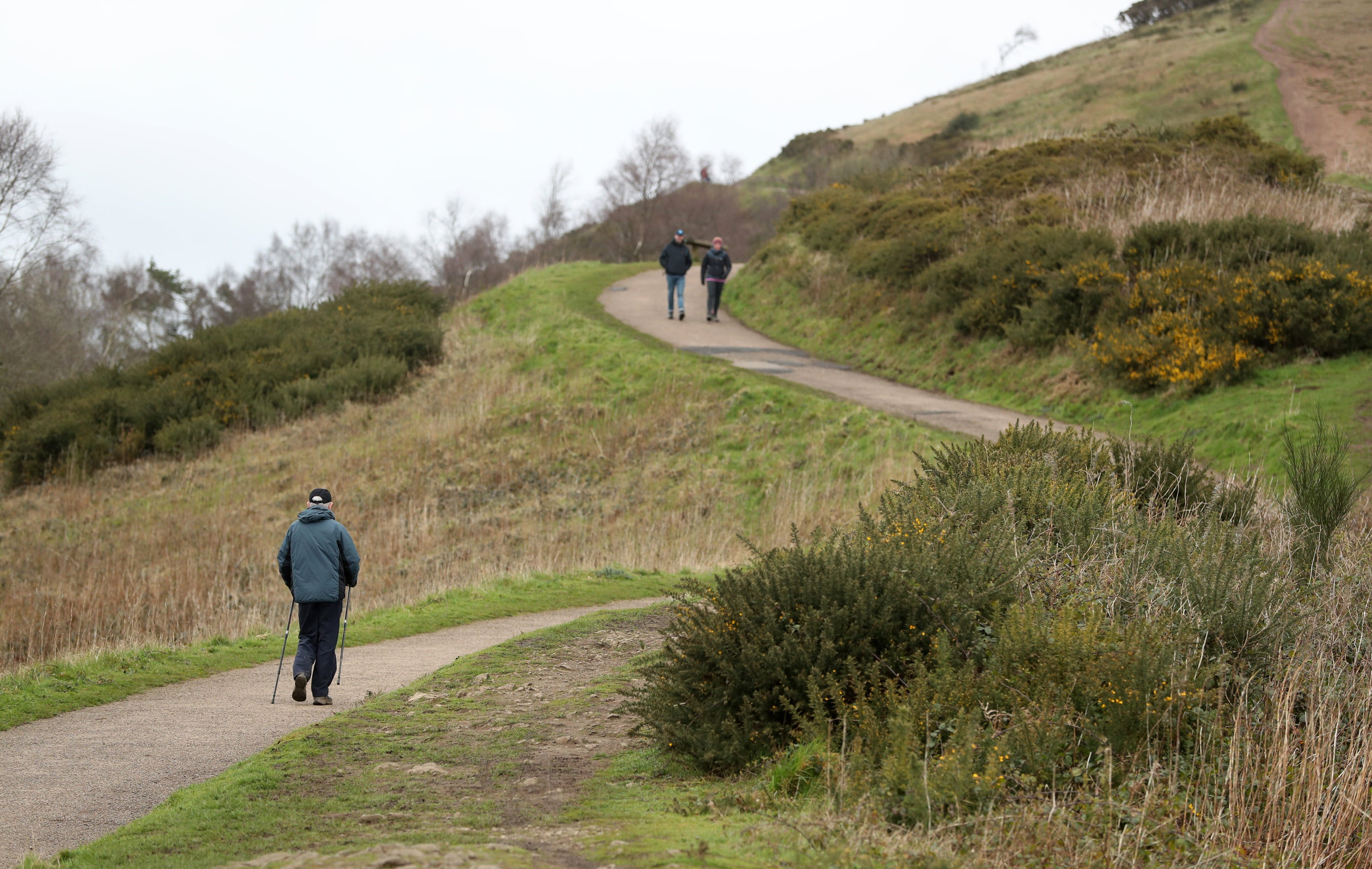 Walking is one of the most accessible ways to increase your activity levels and improve your health