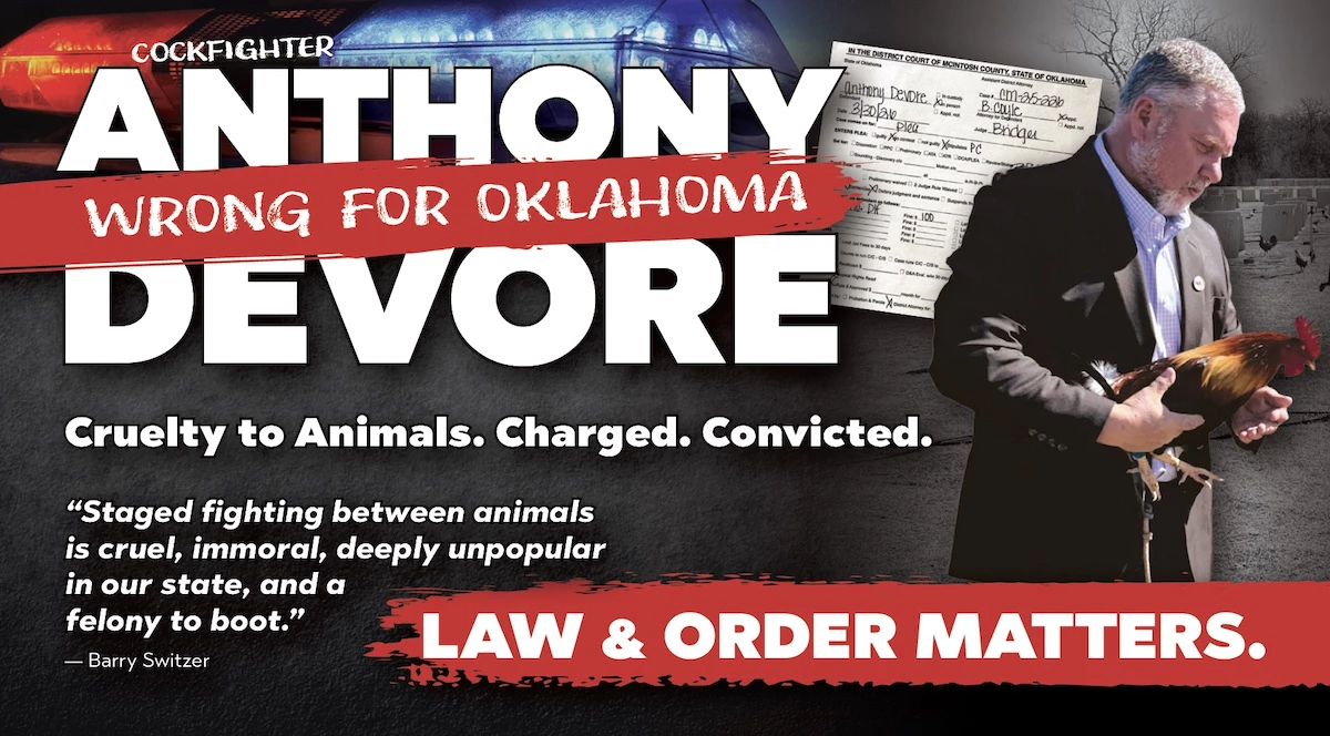 Oklahoma Voters Urged to Reject Candidates Tied to Cockfighting Interests
