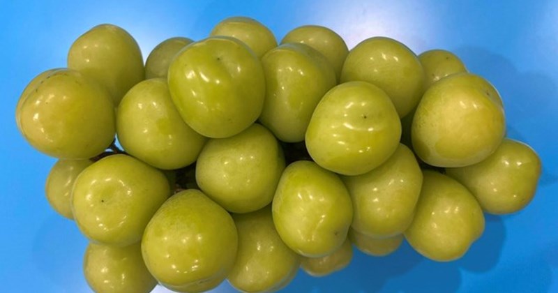 Eating grapes increases blood sugar