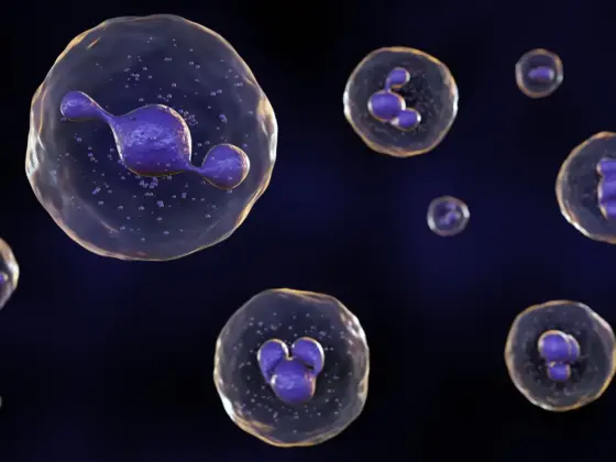 Certain Immune Cells May Hinder Cancer Immunotherapy
