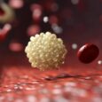 Krill oil outperforms fish oil in raising fatty acid plasma, with sex effects