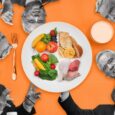 More Medical Schools, Examiners Back RFK Jr. Nutrition Push