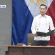 No immunity for 'gathering' with 18 'ex-Marines' — Gatchalian