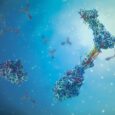 Immune cell defects may drive celiac disease development