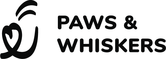 Senior Dog Joint Supplements: What Veterinarians Look For