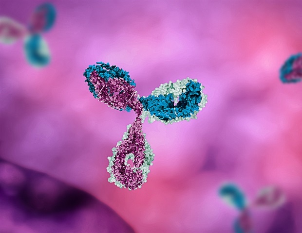 Study reveals how germinal centers consistently produce antibodies