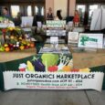 Ocean City to Host Free Health & Wellness Expo on June 14