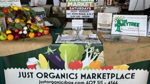 Ocean City to Host Free Health & Wellness Expo on June 14
