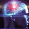 Researchers find a protein that halts brain decline