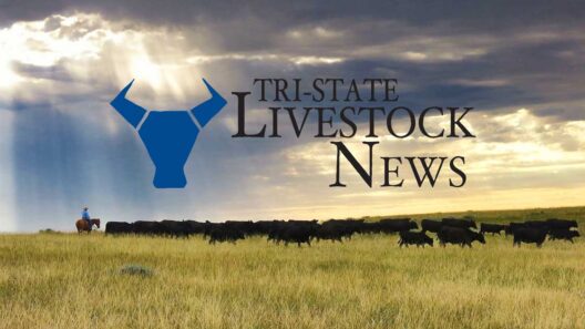 SDSU Extension welcomes new nutrition field specialist