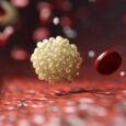 Supplement news covers biological age research