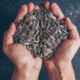 Sunflower seeds