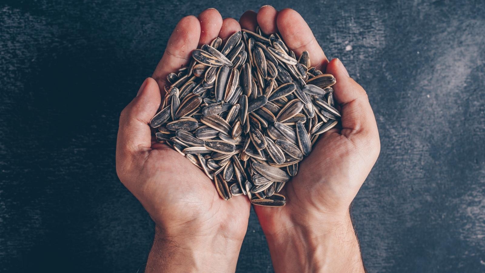 Sunflower seeds