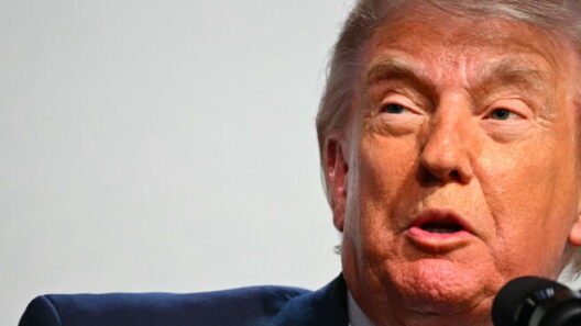 Trump to Get Audit Immunity Even as $1.8 Billion Fund in Doubt