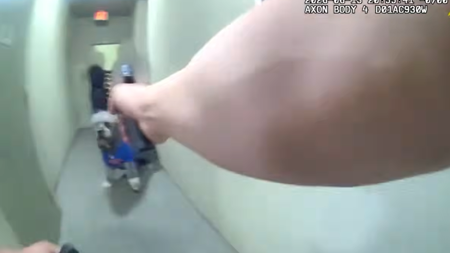 Bodycam shows fatal LAPD shooting of pet dog during wellness check