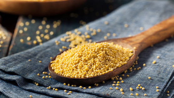Humble grain, big question: Could supercharged millet help children’s gut health?