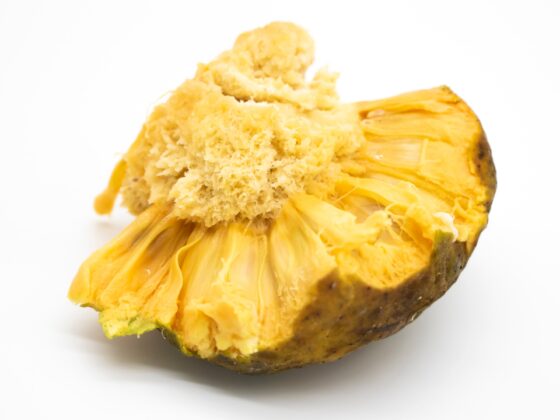 This rare South Asian fruit is slowly disappearing from nature: Here's why nutrition experts say it deserves more attention