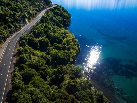 New Zealand seeks to expand global F&B acclaim beyond dairy