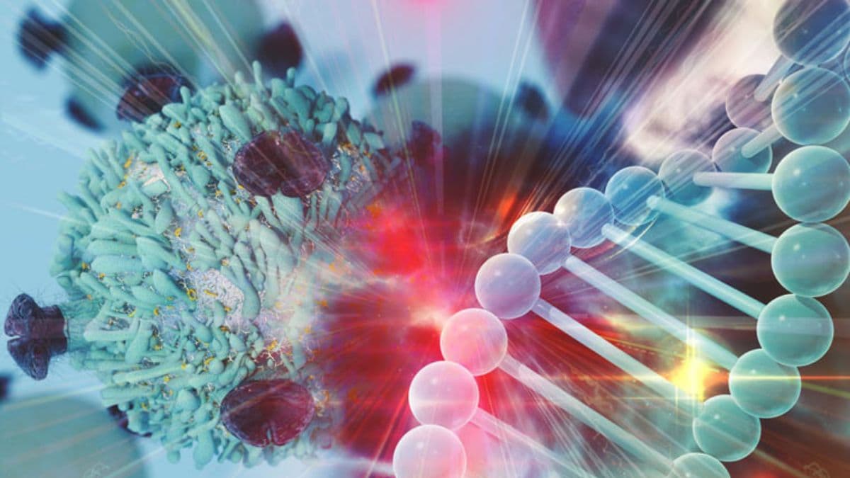How cancer 'trains' your immune system to ignore it