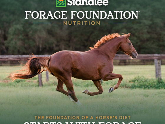 Standlee Launches Forage Foundation™ to Advance the Role of Forage in Equine Nutrition