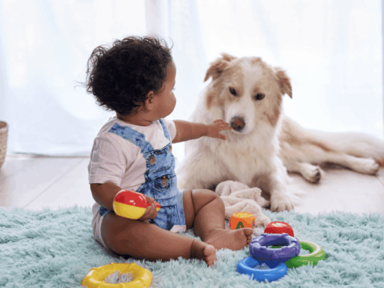 Families With Dogs May Be Giving Babies an Immune System Boost