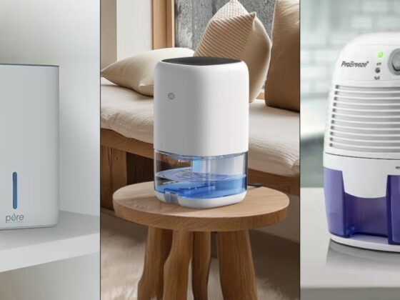 The Best Dehumidifiers for Small Rooms
