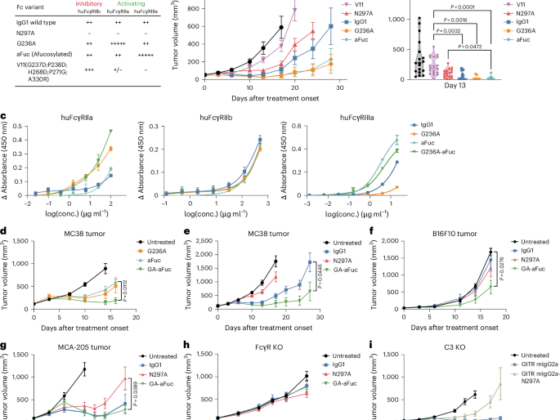 Fc-optimized GITR antibody enhances a CD4 T cell–dendritic cell crosstalk to promote antitumor immunity