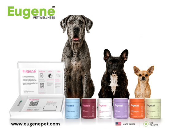 Eugene Pet Wellness Launches AI Platform Connecting Canine Genetic Data, Wellness Decisions and Ongoing Health Information