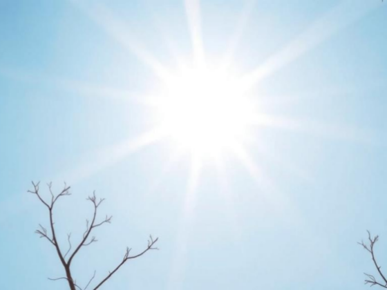 Sunlight, Seasons and Survival: Vitamin D Fails to Explain Timing Effects