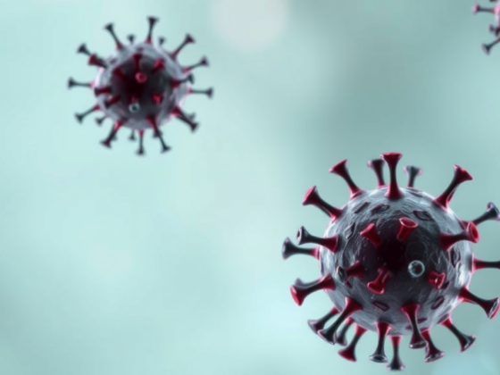 Why aging immune systems turn against the body: a two-step model of B cell